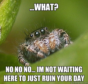 ...what?   no no no... im not waiting here to just ruin your day  Misunderstood Spider