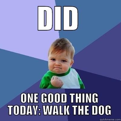 DID ONE GOOD THING TODAY: WALK THE DOG Success Kid