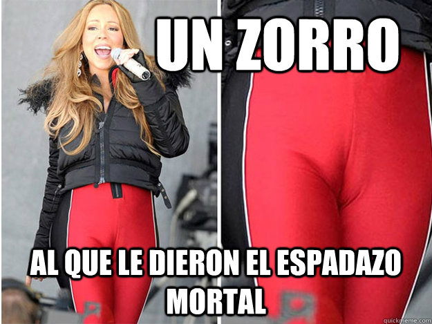            UN zorro al que le dieron el espadazo mortal  Mariah Carey