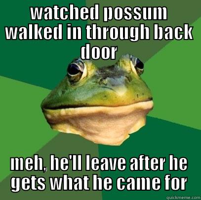 WATCHED POSSUM WALKED IN THROUGH BACK DOOR MEH, HE'LL LEAVE AFTER HE GETS WHAT HE CAME FOR Foul Bachelor Frog