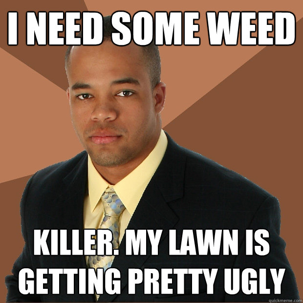 i need some weed killer. my lawn is getting pretty ugly  Successful Black Man