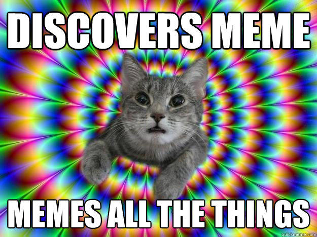 discovers meme memes all the things - discovers meme memes all the things  Addictive personality cat