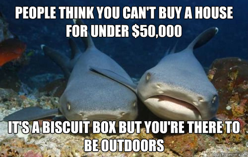 people think you can't buy a house for under $50,000 it's a biscuit box but you're there to be outdoors  Compassionate Shark Friend