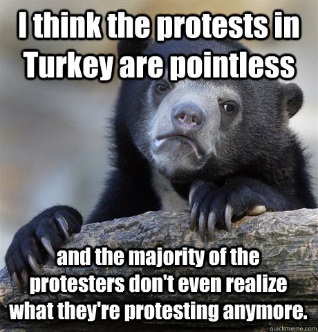 I think the protests in Turkey are pointless and the majority of the protesters don't even realize what they're protesting anymore.  Confession Bear