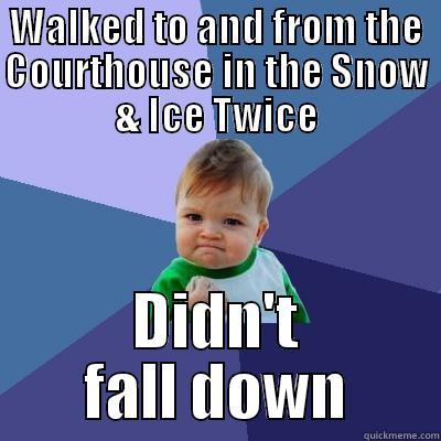 WALKED TO AND FROM THE COURTHOUSE IN THE SNOW & ICE TWICE DIDN'T FALL DOWN Success Kid