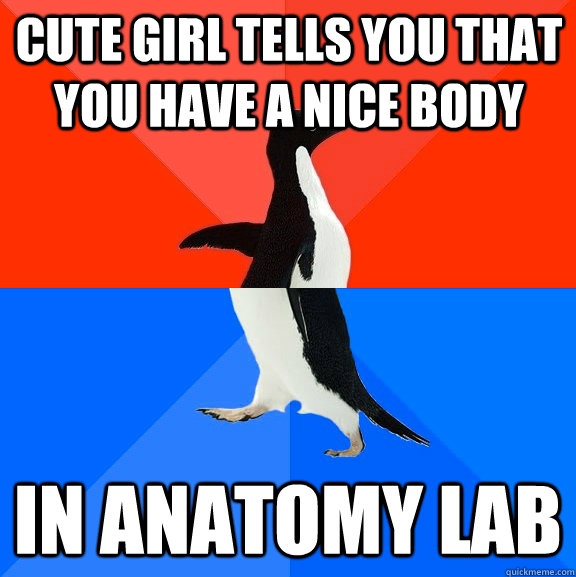 Cute girl tells you that you have a nice body in anatomy lab  Socially Awesome Awkward Penguin