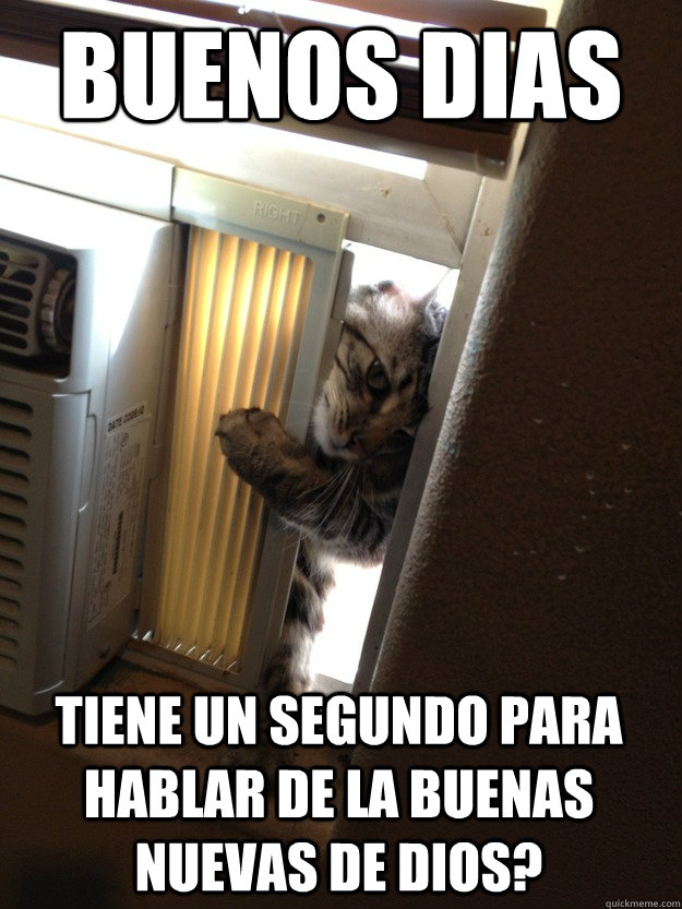 buenos dias tiene un segundo para hablar de la buenas nuevas de Dios?  Jehovah Cat