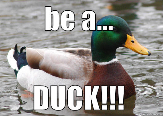 BE A... DUCK!!! Actual Advice Mallard