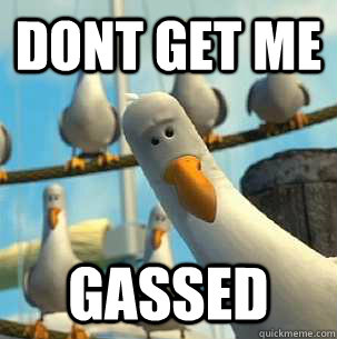 dont get me gassed - dont get me gassed  alex seagull