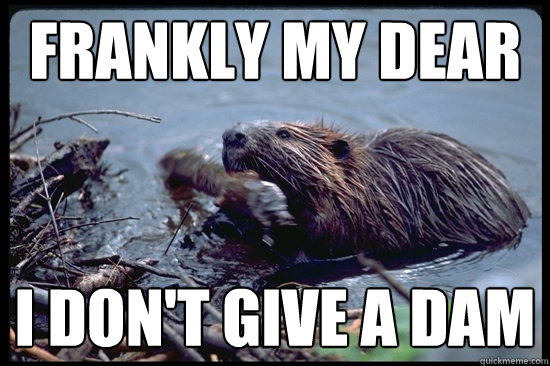 Frankly My Dear I don't give a Dam  Uncaring Beaver