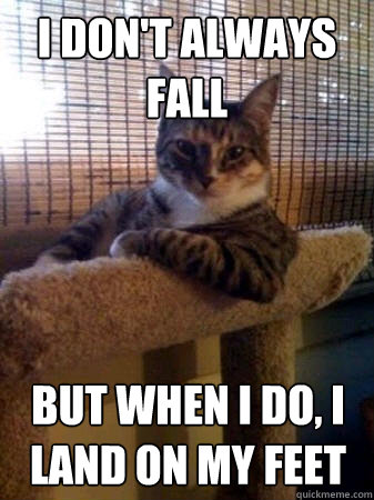 i don't always fall but when i do, i land on my feet  The Most Interesting Cat in the World