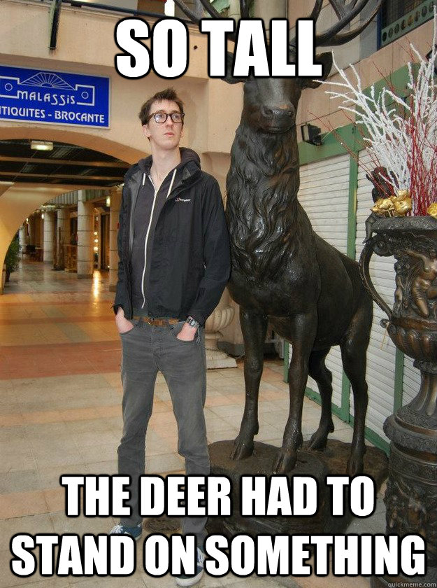 so tall the deer had to stand on something - so tall the deer had to stand on something  Really Tall Redditor