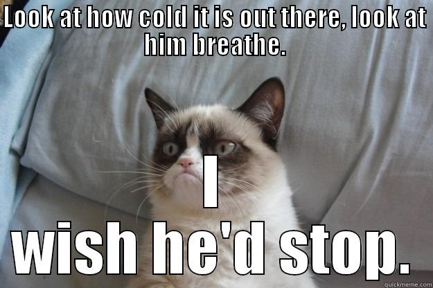 Winter breath - LOOK AT HOW COLD IT IS OUT THERE, LOOK AT HIM BREATHE. I WISH HE'D STOP. Grumpy Cat