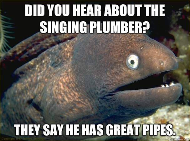 Did you hear about the singing plumber? They say he has great pipes.   Bad Joke Eel