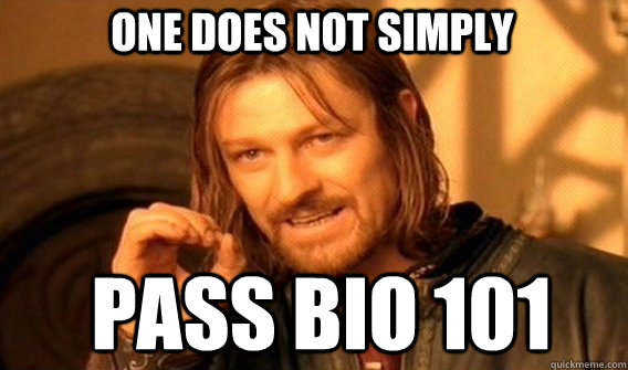 One does not simply pass Bio 101 - One does not simply pass Bio 101  Boromirmod