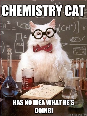 Chemistry cat Has no idea what he's doing!  Chemistry Cat