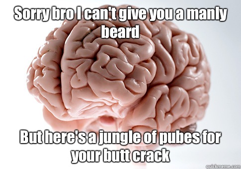 Sorry bro I can't give you a manly beard But here's a jungle of pubes for your butt crack  Scumbag Brain