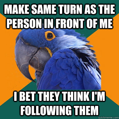 Make same turn as the person in front of me I bet they think i'm following them  Paranoid Parrot