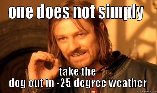 ONE DOES NOT SIMPLY  TAKE THE DOG OUT IN -25 DEGREE WEATHER Boromir
