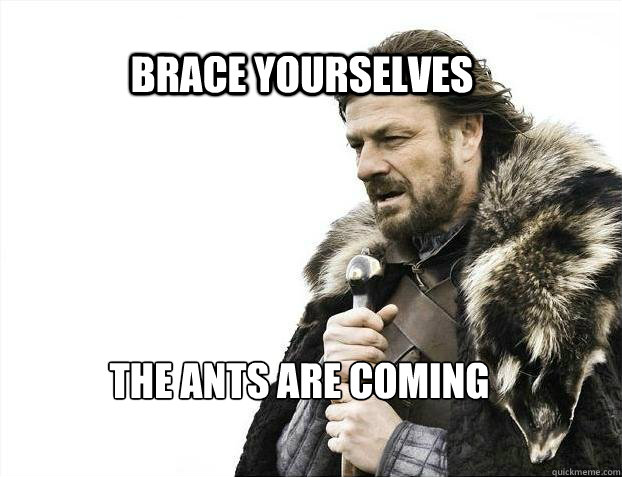 BRACE YOURSELVES THE ANTS ARE COMING  BRACE YOURSELF TIMELINE POSTS