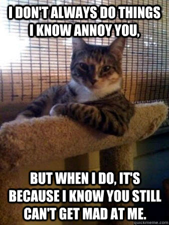 I don't always do things i know annoy you, but when I do, it's because i know you still can't get mad at me.  The Most Interesting Cat in the World