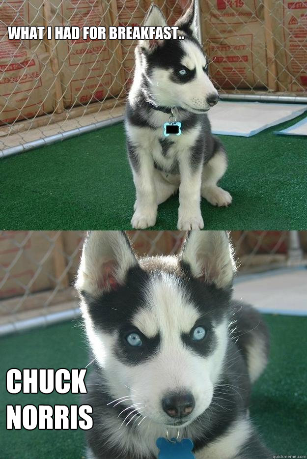 what i had for breakfast.. chuck norris   Insanity puppy