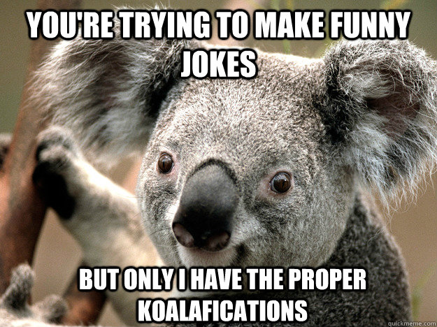 You're trying to make funny jokes But only I have the proper Koalafications  Evil Koala Bear