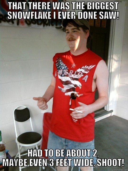 THAT THERE WAS THE BIGGEST SNOWFLAKE I EVER DONE SAW! HAD TO BE ABOUT 2, MAYBE EVEN 3 FEET WIDE. SHOOT! Redneck Randal