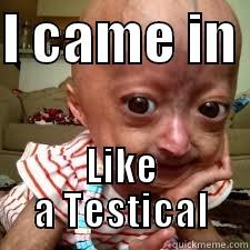 I CAME IN  LIKE A TESTICAL Misc
