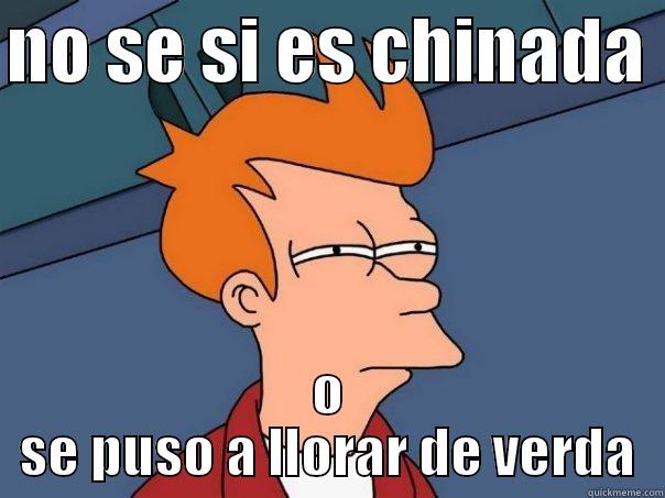 NO SE SI ES CHINADA  O SE PUSO A LLORAR DE VERDA Futurama Fry