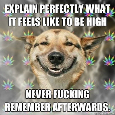 EXPLAIN PERFECTLY WHAT IT FEELS LIKE TO BE HIGH NEVER FUCKING REMEMBER AFTERWARDS.  Stoner Dog