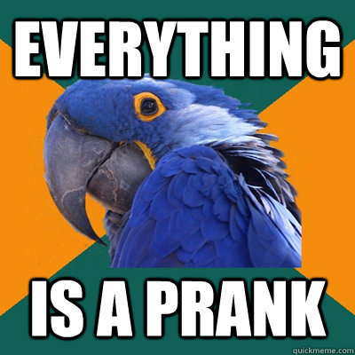 everything is a prank  Paranoid Parrot