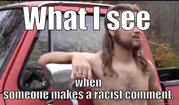 WHAT I SEE WHEN SOMEONE MAKES A RACIST COMMENT. Almost Politically Correct Redneck