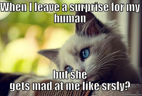 Cat problems... - WHEN I LEAVE A SURPRISE FOR MY HUMAN BUT SHE GETS MAD AT ME LIKE SRSLY? First World Problems Cat