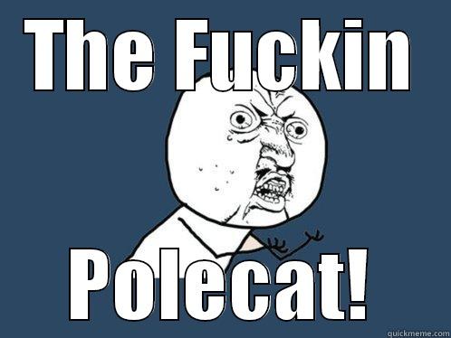 THE FUCKIN POLECAT! Y U No