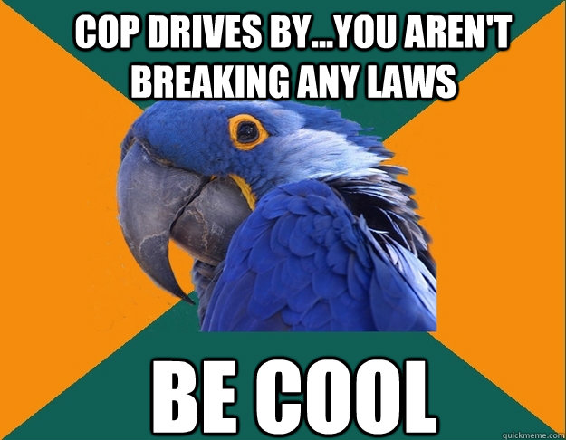 Cop drives by...You aren't breaking any laws be cool
  Paranoid Parrot