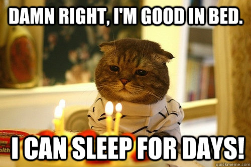 Damn right, I'm good in bed.  I can sleep for days! - Damn right, I'm good in bed.  I can sleep for days!  Middle Aged Cat