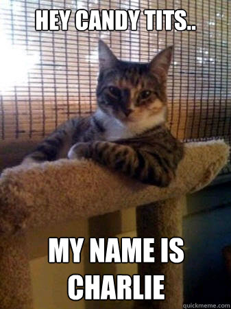 HEY CANDY TITS.. MY NAME IS CHARLIE  The Most Interesting Cat in the World