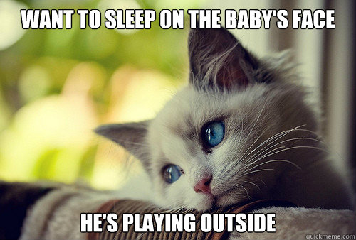 want to sleep on the baby's face he's playing outside  First World Problems Cat