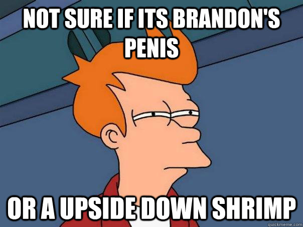 Not Sure If Its Brandon's Penis Or A Upside Down Shrimp  Futurama Fry