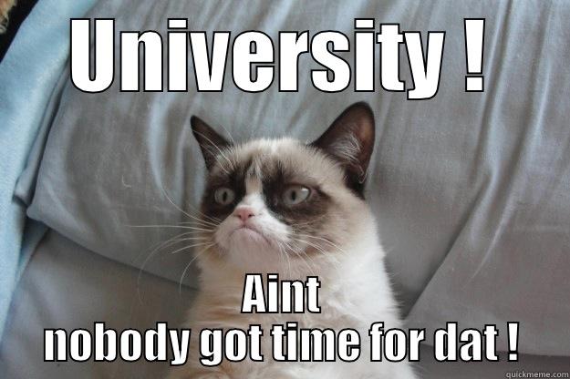 UNIVERSITY ! AINT NOBODY GOT TIME FOR DAT ! Grumpy Cat