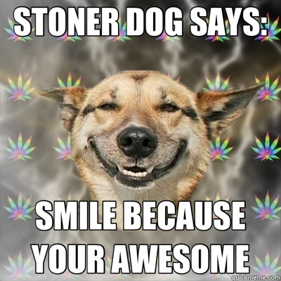 STONER DOG SAYS: SMILE BECAUSE YOUR AWESOME  Stoner Dog