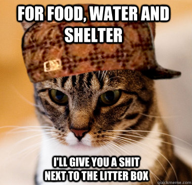 for food, water and shelter I'll give you a shit next to the litter box  Scumbag Cat