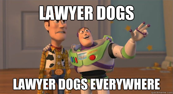 Lawyer Dogs Lawyer dogs everywhere  Toy Story Everywhere