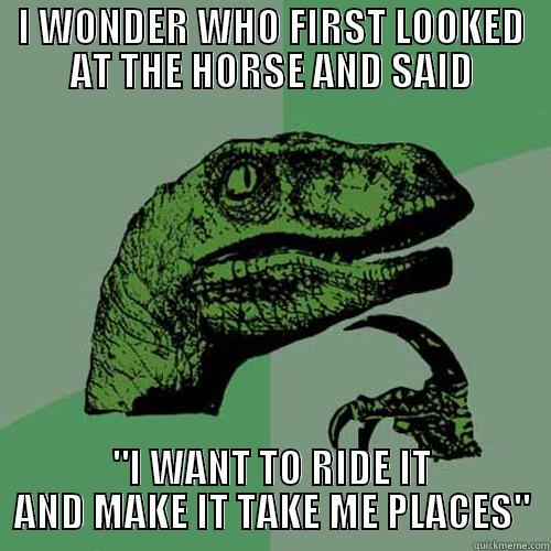I WONDER WHO FIRST LOOKED AT THE HORSE AND SAID 