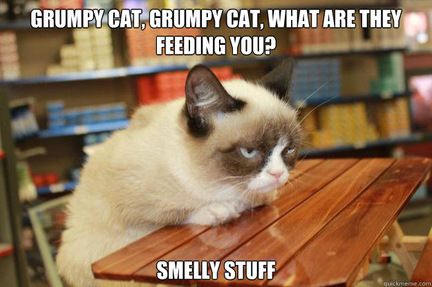 grumpy cat, grumpy cat, what are they feeding you? smelly stuff  