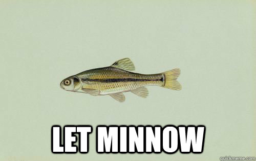  let minnow  minnow fish