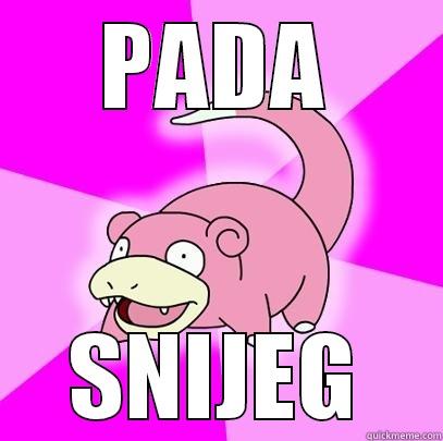 PADA SNIJEG Slowpoke