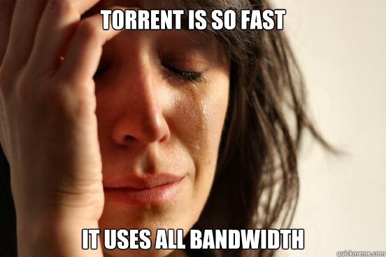 Torrent is so fast It uses all bandwidth  First World Problems