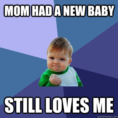 mom had a new baby still loves me  Success Kid
